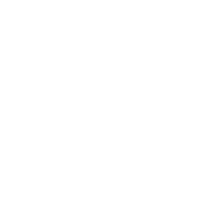 אביעד שילוח - מורה נהיגה לטסלה